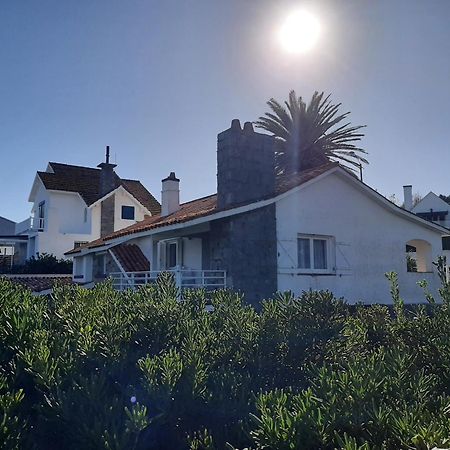 Los Sargos Punta del Este Eksteriør bilde