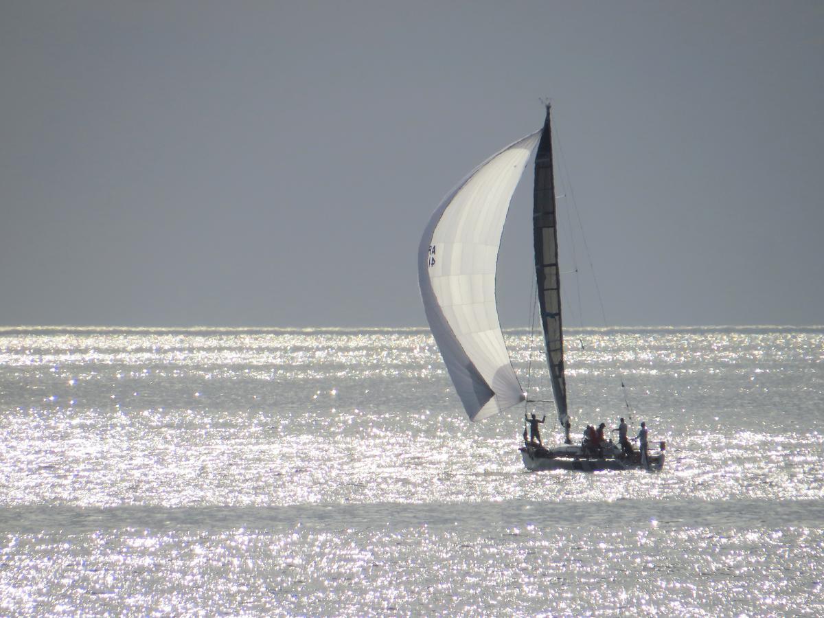 Los Sargos Punta del Este Eksteriør bilde