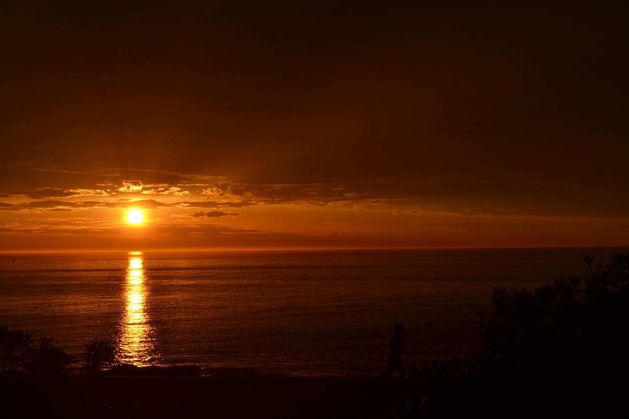 Los Sargos Punta del Este Eksteriør bilde